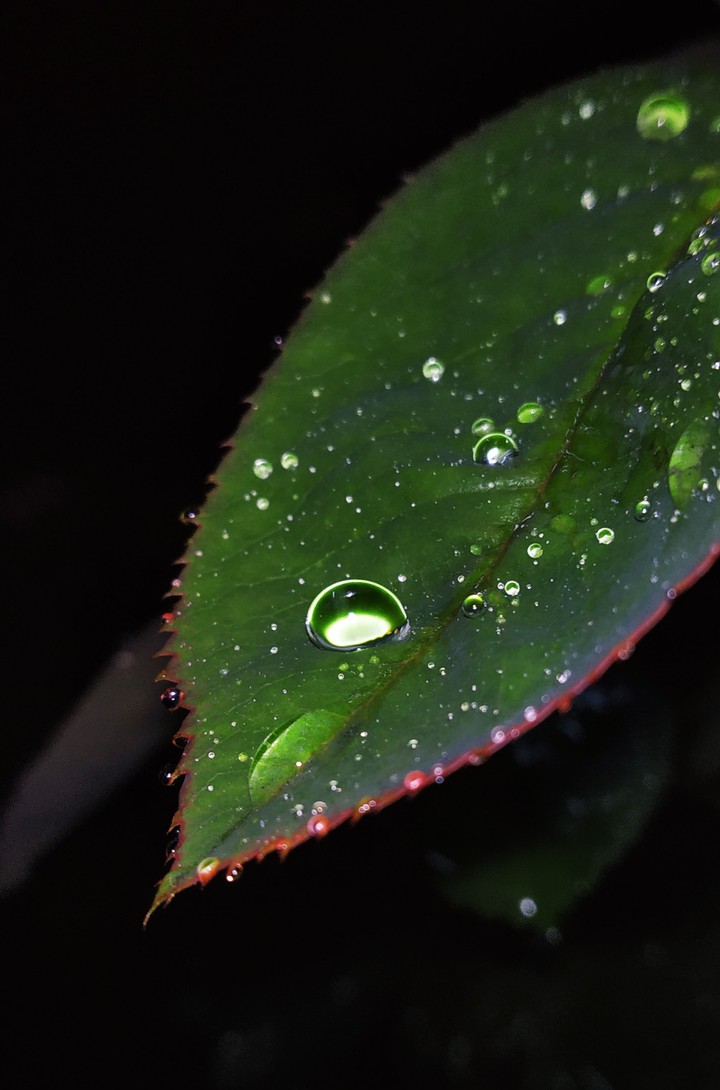 rain drops