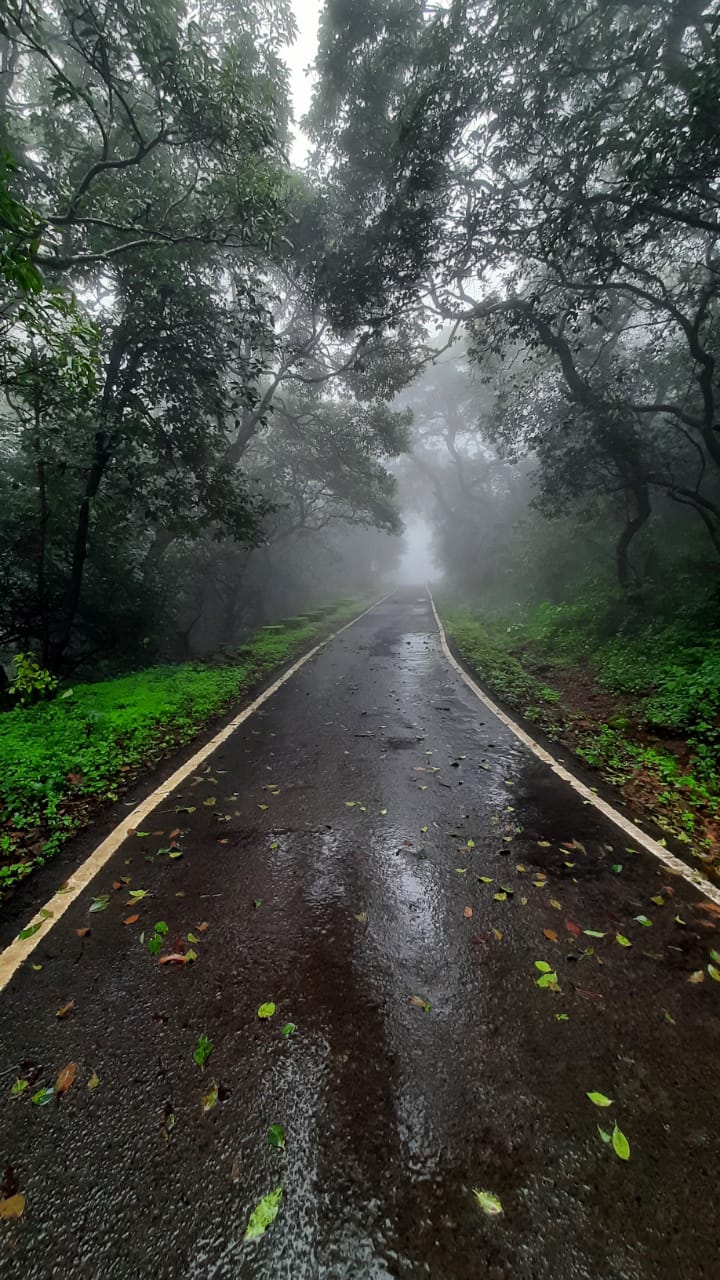 Nature Path