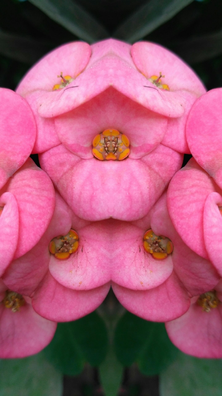 flowet