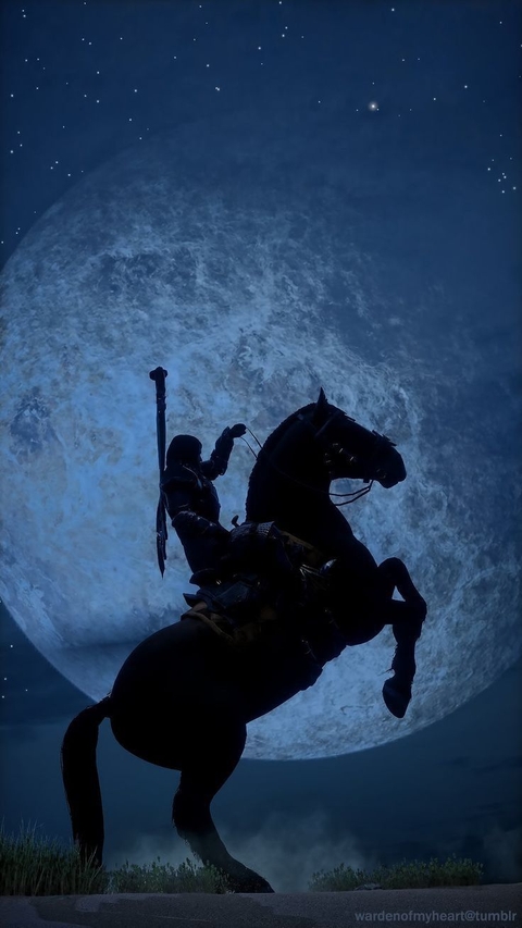 horse, moonlight桌布