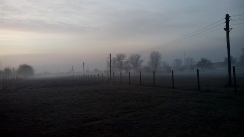 Smoggy