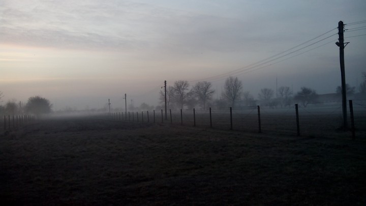 Smoggy
