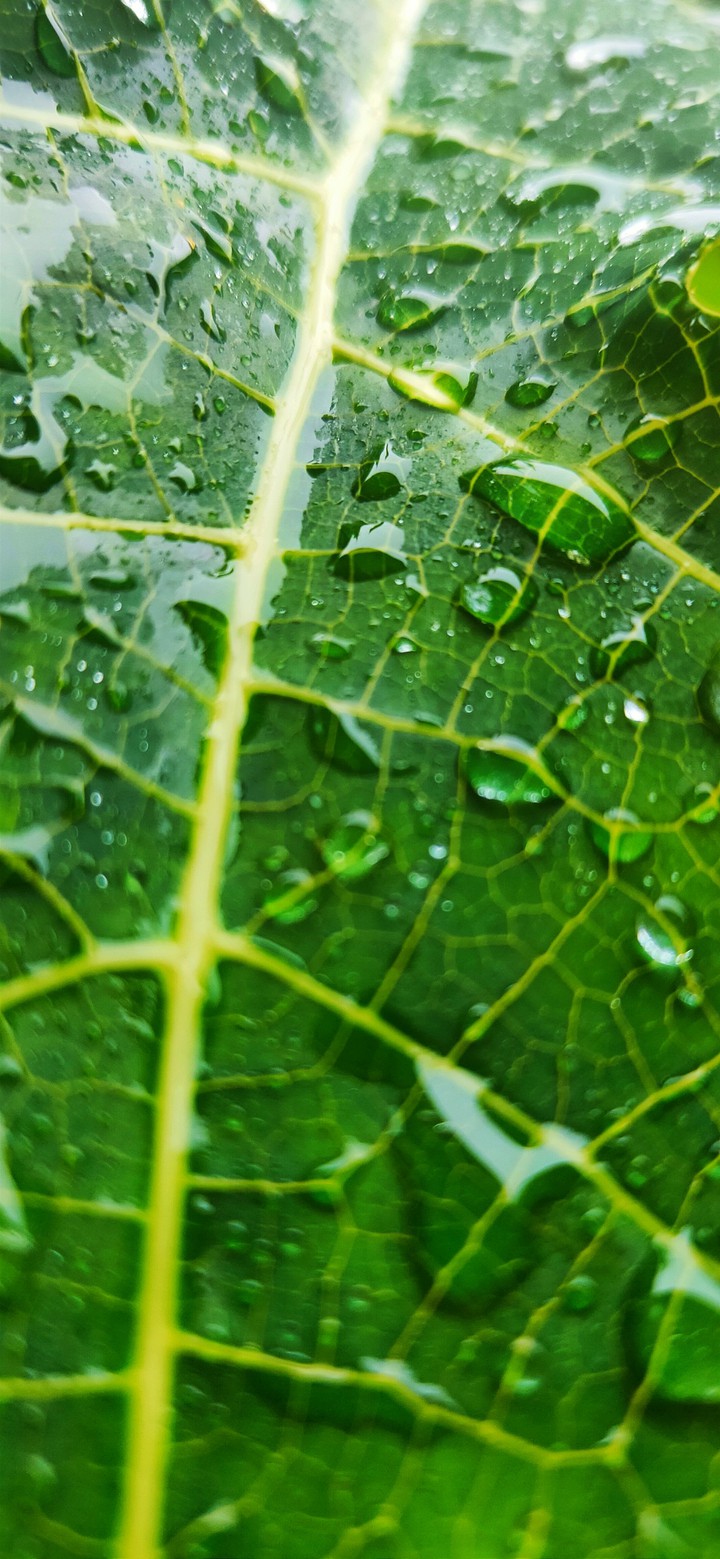 it's raining