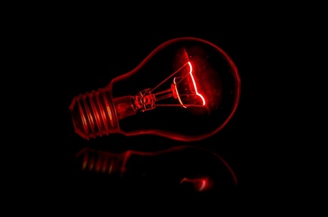 Bulb
