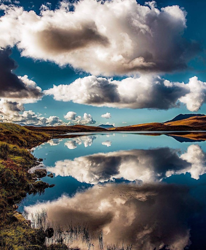 reflection