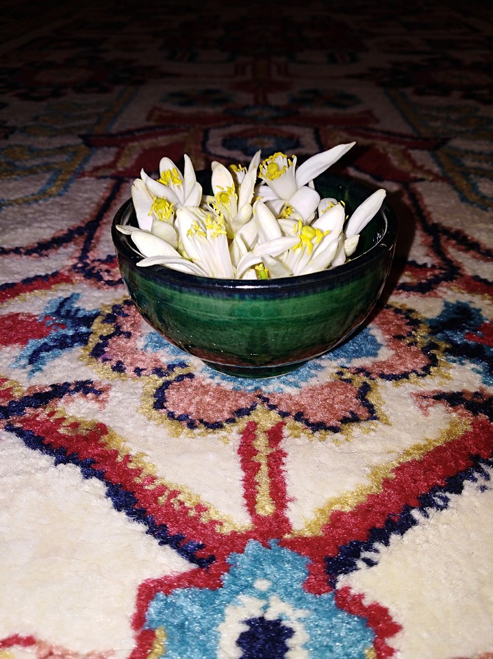 Orange blossom does not smell without you