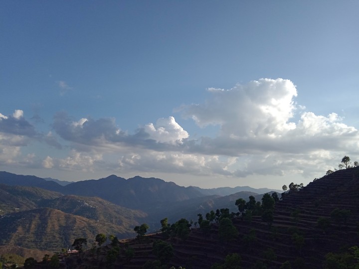 Nature's beauty
