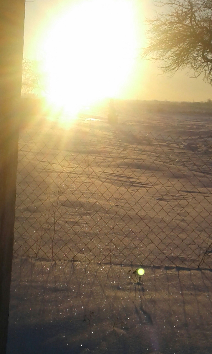 світанок