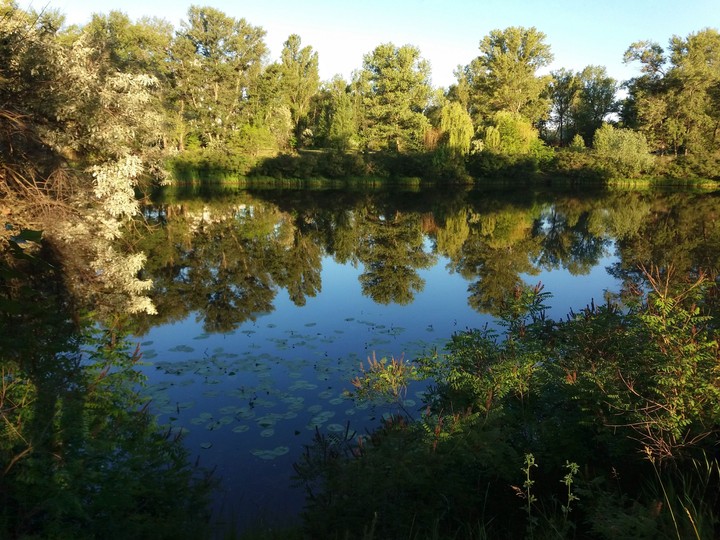 quite morning