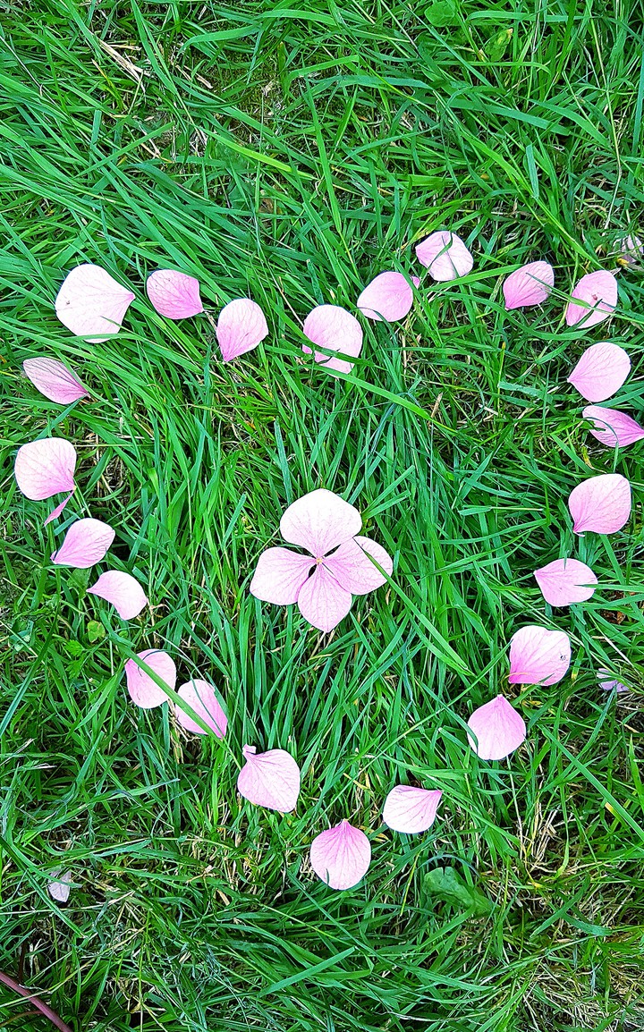 fleurs