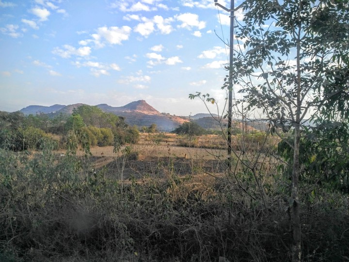 nature