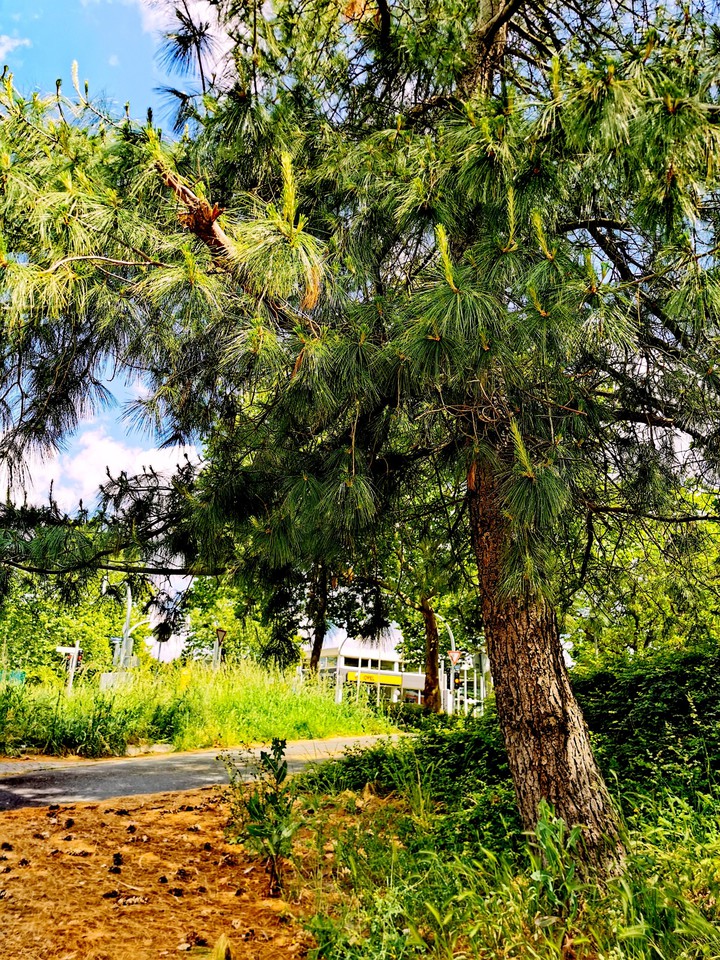 today