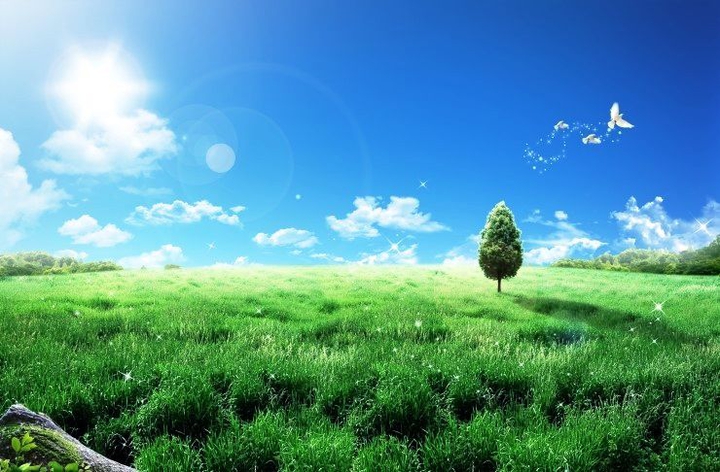 natural scenery