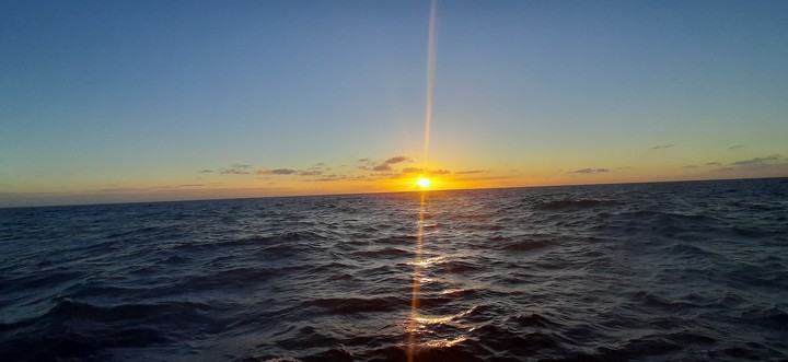 oceam
