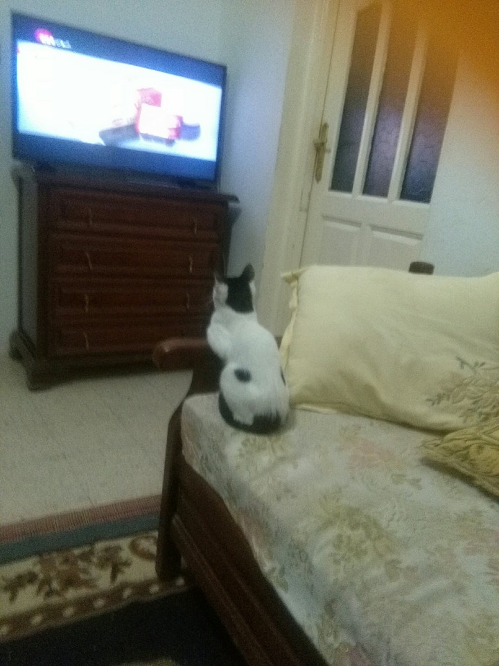 micho