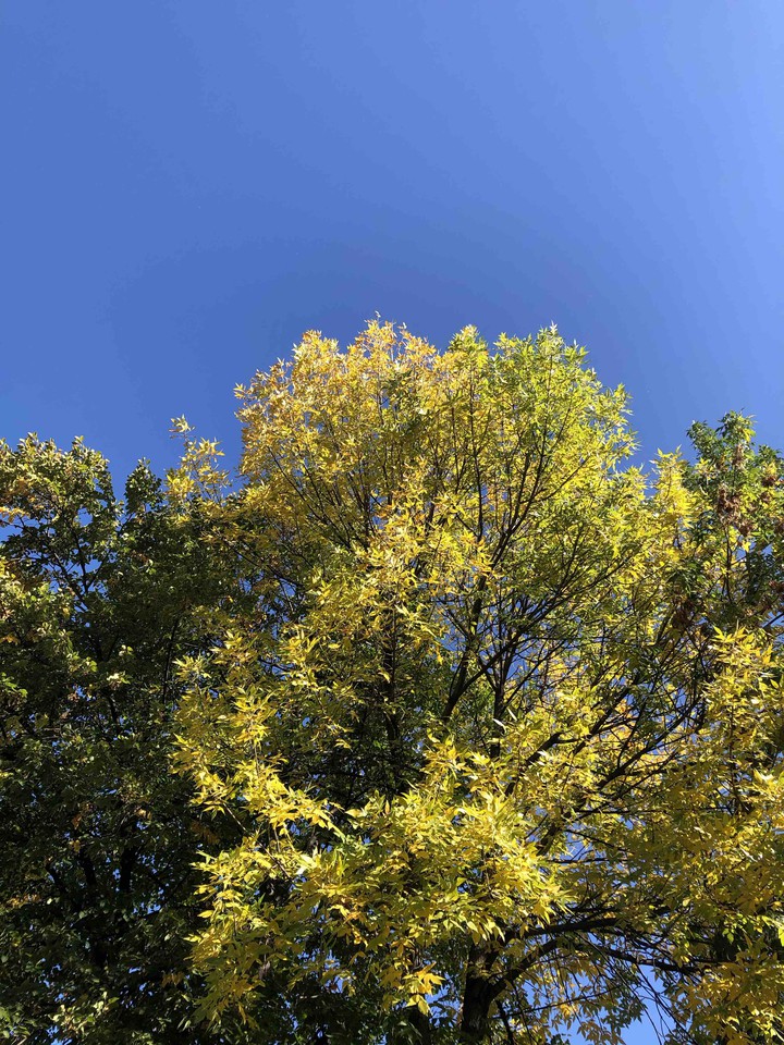 Deep Blue Sky