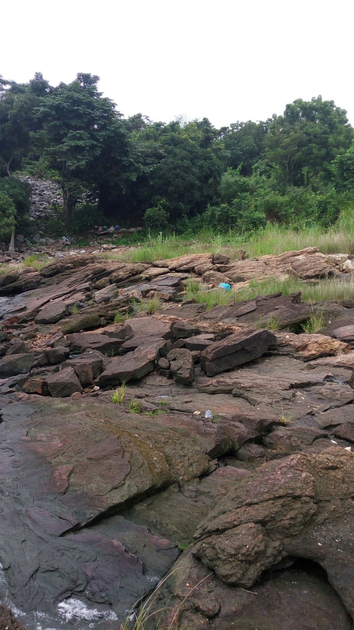 By the riverbank