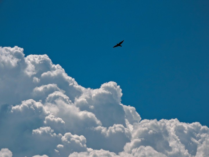 Clouds