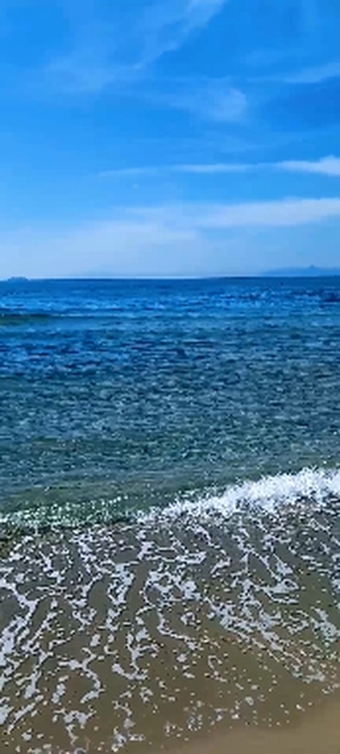 Morning breeze