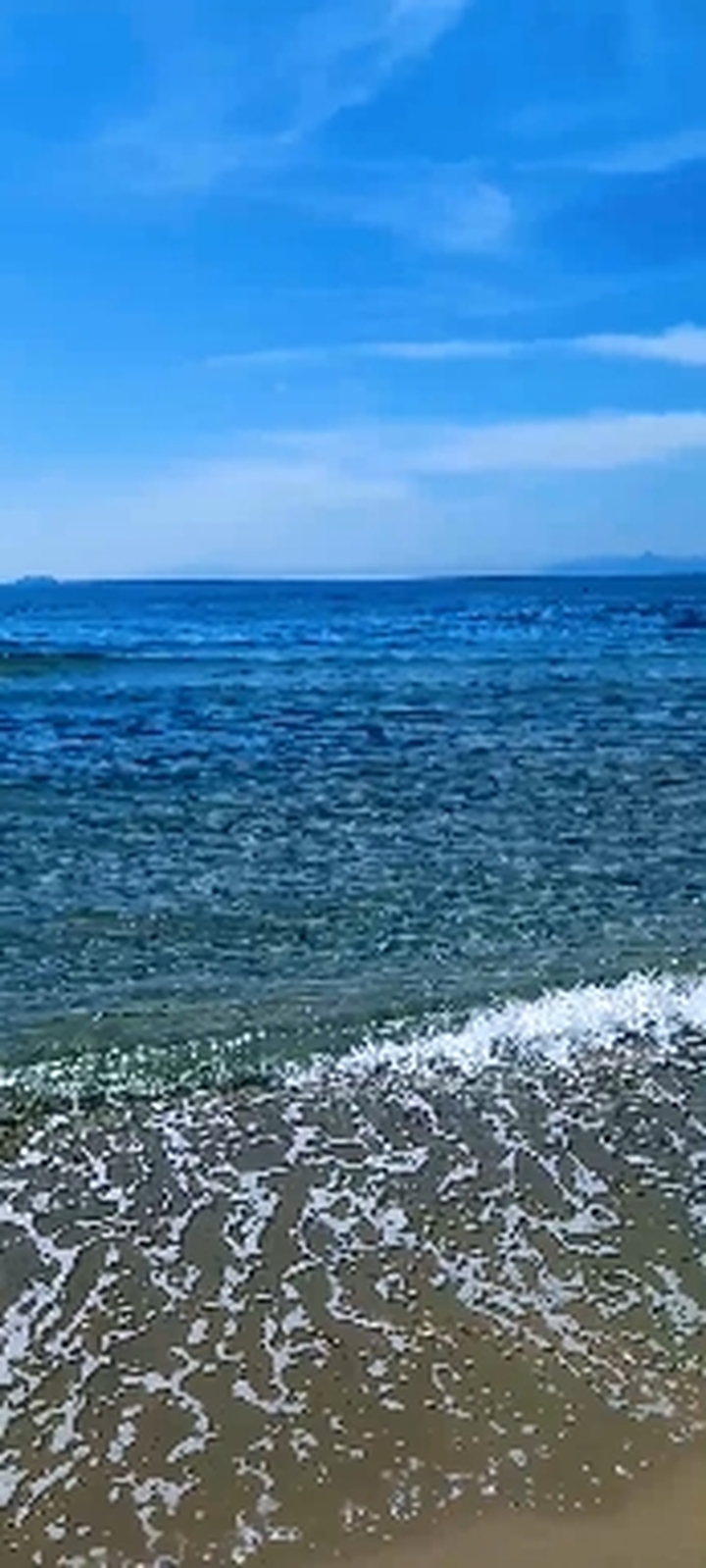 Morning breeze
