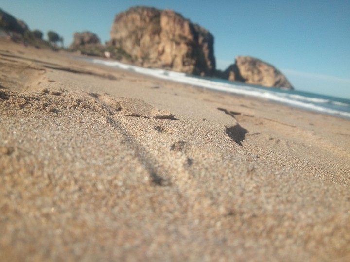 Sand