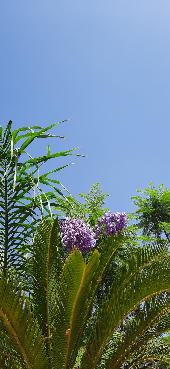 nature