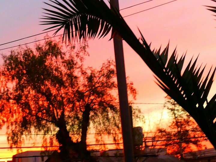 Atardecer