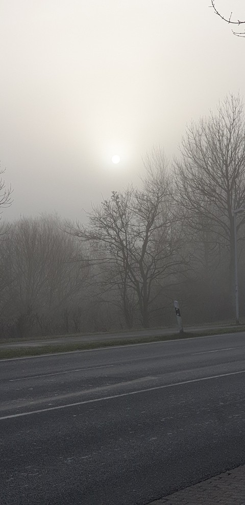 Sonnenaufgang im Nebel