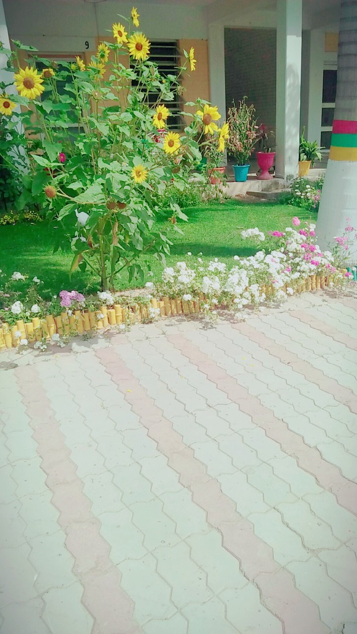 Bloming flower