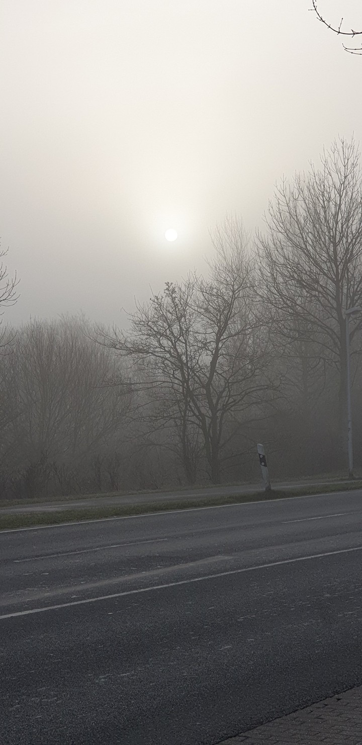 Sonnenaufgang im Nebel