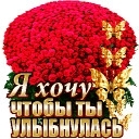 Y.H.