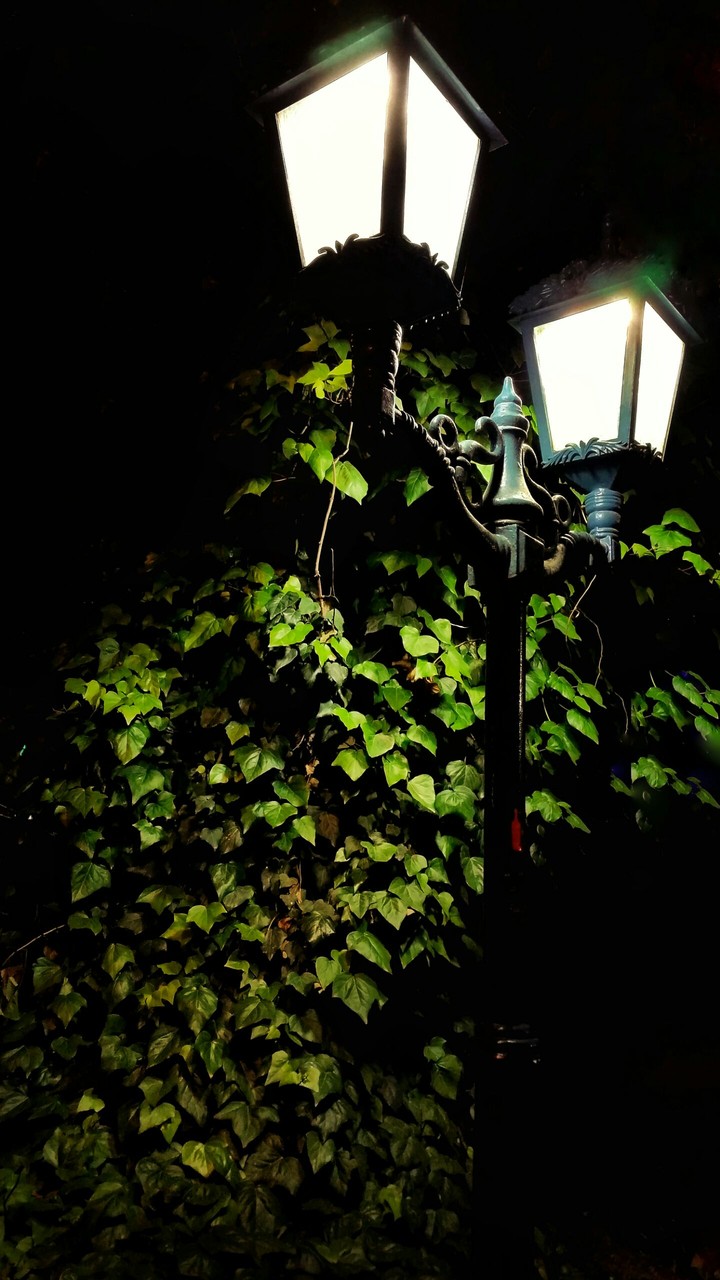 Penumbra