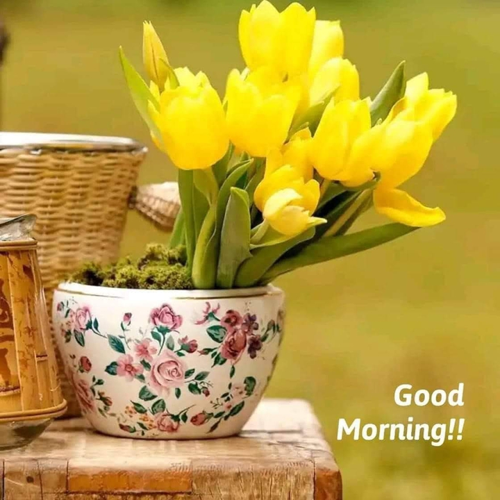 good morning