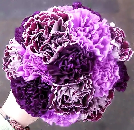 Purple Passion Bouquet