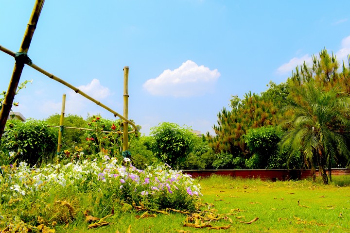 landscape
