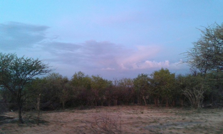 African Wilderness