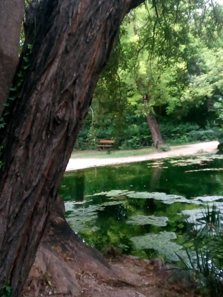 Athens, National Garden, Greece