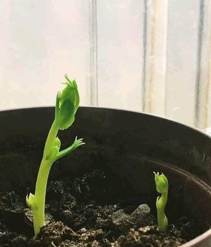 ❤