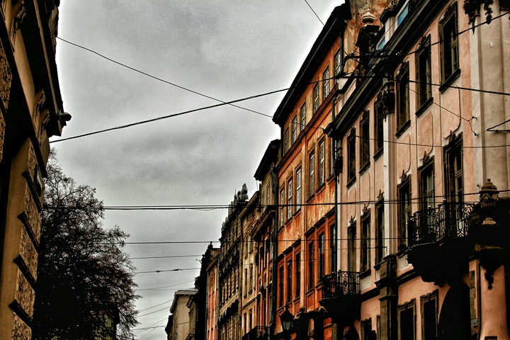 dynamic lines/ Lviv