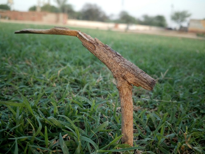 In ground