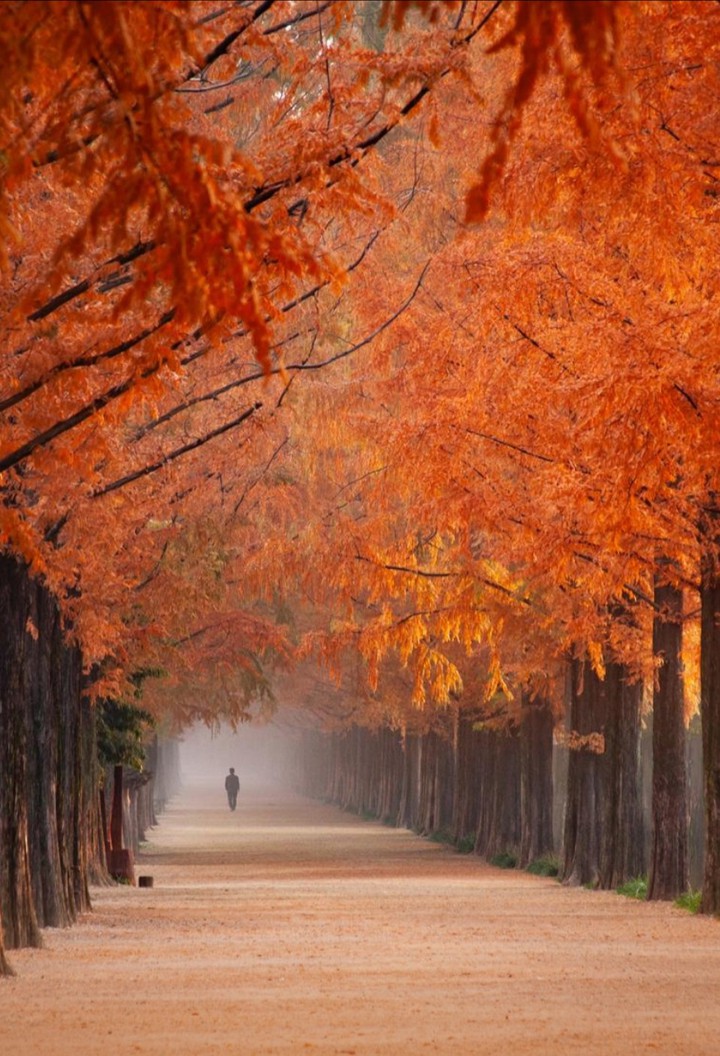 Benvenuto autunno..