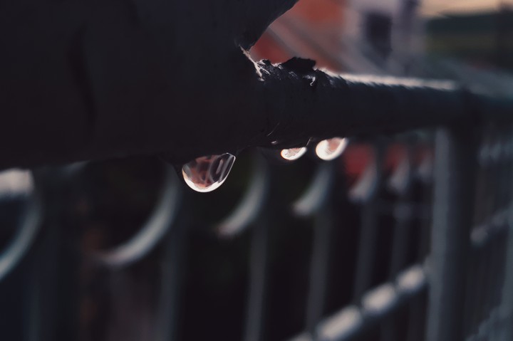 Dew
