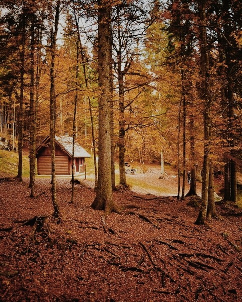 осень