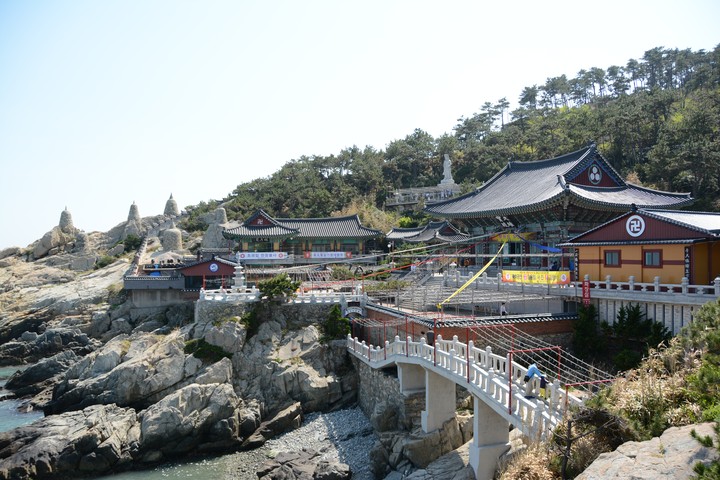 기장이미지