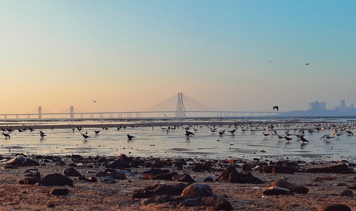 My Mumbai