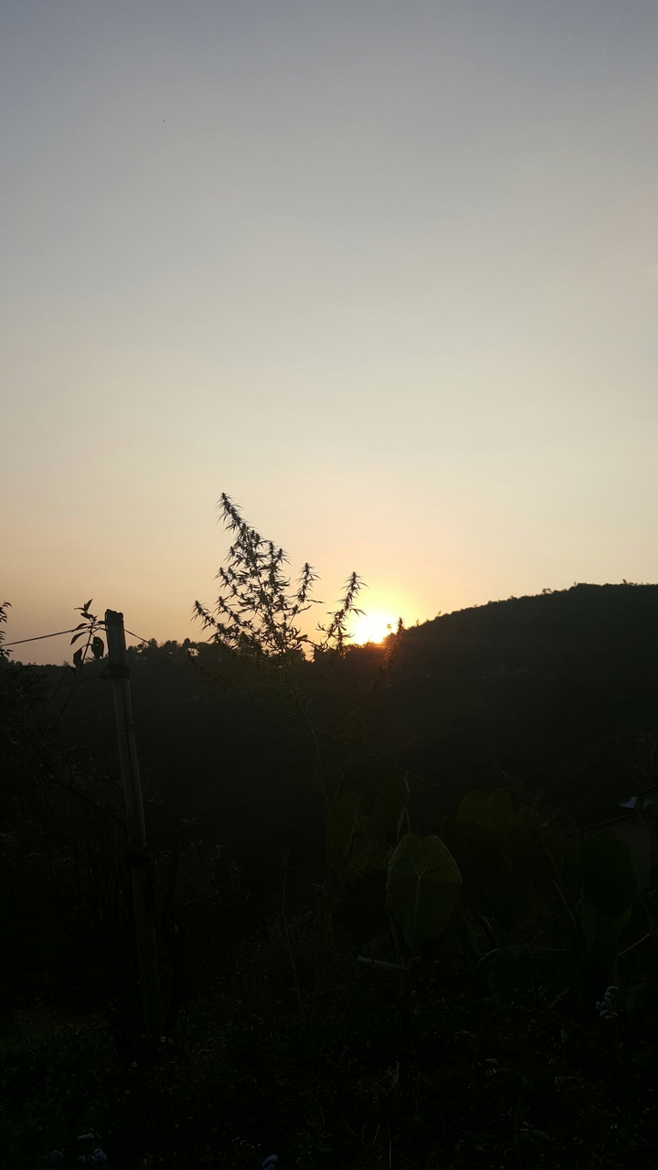 Sunset