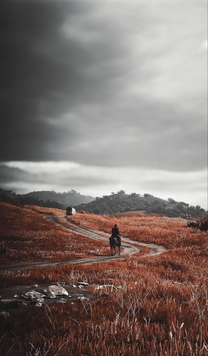 RED DEAD 2