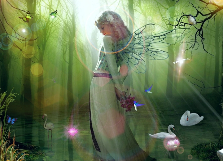 fairy