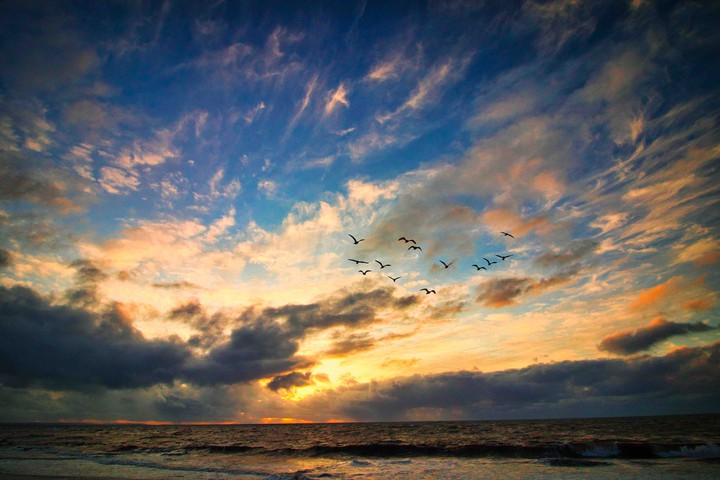 Sky