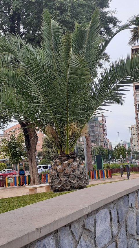Espana